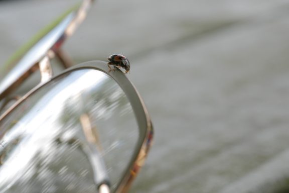 Eine Nahaufnahme von einer Brille auf einem Tisch.